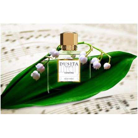 Cavatina-دوسیتا کاواتینا