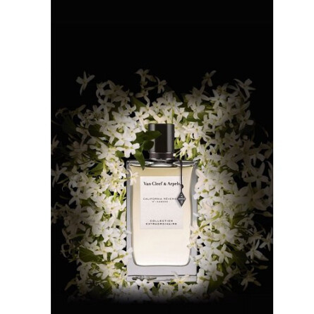 Collection Extraordinaire California Reverie-ون کلیف اند آرپلس کالکشن اکسترا اوردینیر کاریفورنیا روری