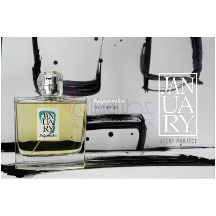 Selperniku-جَنیوئری سن پروجکتس سلپرنیکو