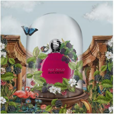 Blackberry-ماکس فلیپ بلک بری