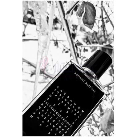 Nordic Noir-آگونیست نوردیک نویر