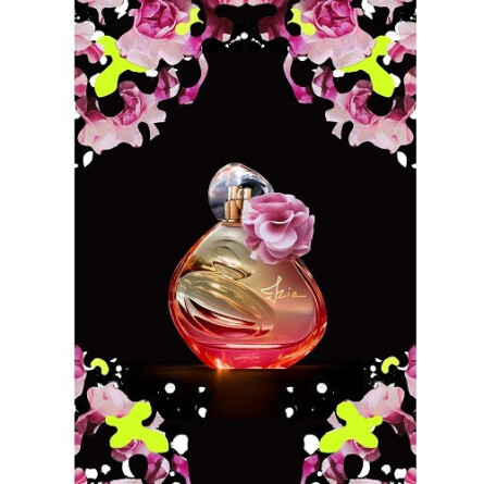 Izia Anniversary Edition 2018-سیسلی ایزیا آنیورساری ادیشن 2018