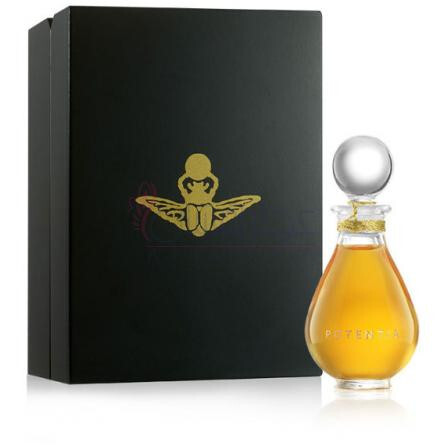 Amber God-د هاس اف پتانشا امبر گلد