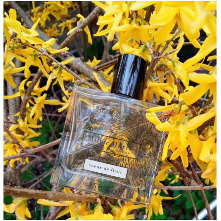 Coeur de Fleur-میلر هریس کویر د فلور