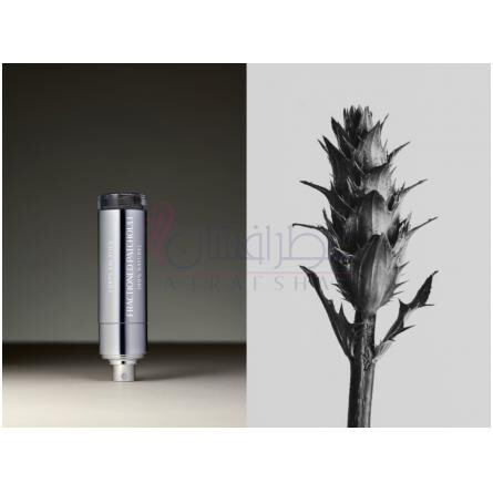 Fractioned Patchouli-کورپ وولاتیل فرکشند پچولی