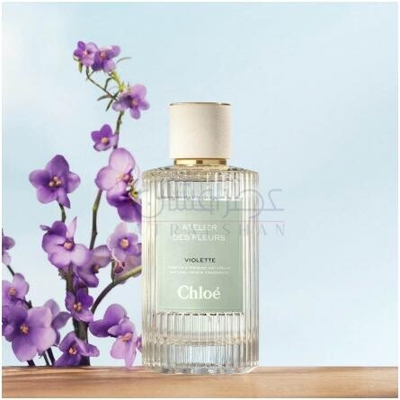 Violette-کلوهه ویولت