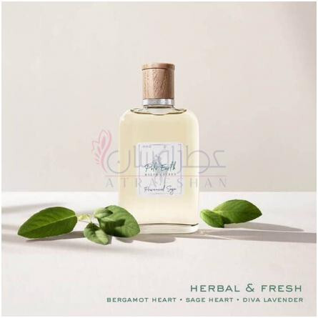 Polo Earth Provencial Sage-رالف لورن پولو ارث پروونشیال سیج