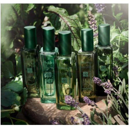 Sorrel & Lemon Thyme-جو مالون سورل اند لمون تایم