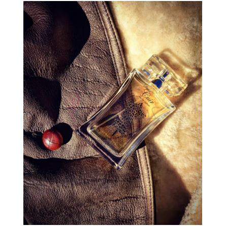 Dur a Cuir-جاردین دی فرنس دور ا کویر