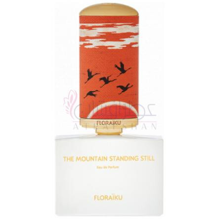 The Mountain Standing Still-فلورایکو د ماونتن استندینگ استیل