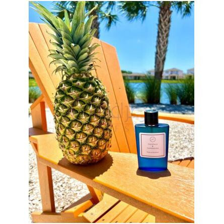 Cocktails & Catamarans-سنت جورنی کوکتیلز اند کاتامارانز