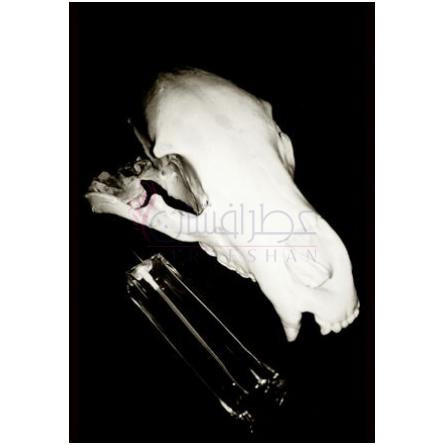 Arktos-هاوس اف اورفیوس ارتکوس