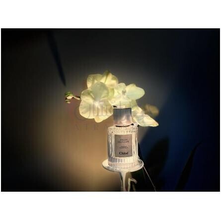 Vanilla Planifolia-کلوهه وانیلا پلنیفولیا