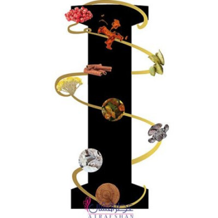 Noir Premier Fleur Universelle-لالیک نویر پرمیر فلور یونیورسال (نواغ پریمیر فلیور یونیورسله)