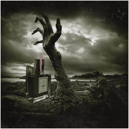 Oud Al'Andalus-دارک بیت پارفومز عود ال اندلوس