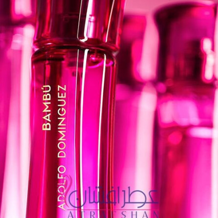 Bambu Mujer-آدولفو دومینگز  بامبو موحر