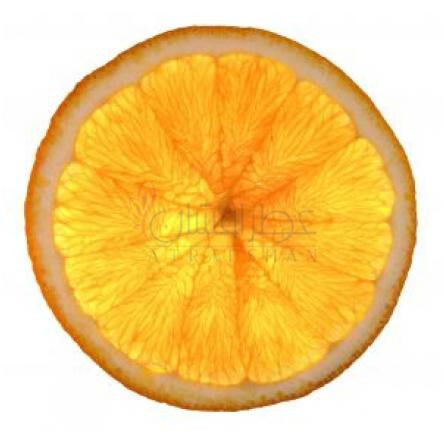 Chocolate Soldier-بود پارفومز چاکلت سولدیر