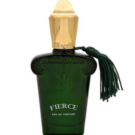 Fierce Eau de Perfume BRANDINI-فیرس مردانه برندینی
