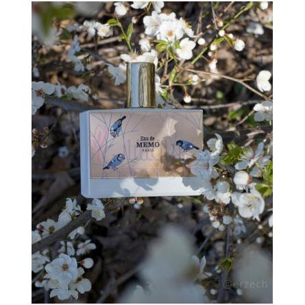 Eau de Memo-ممو او د ممو