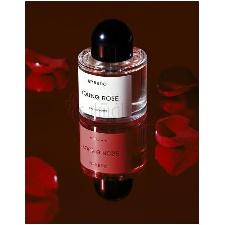 Young Rose-بایردو یانگ رز