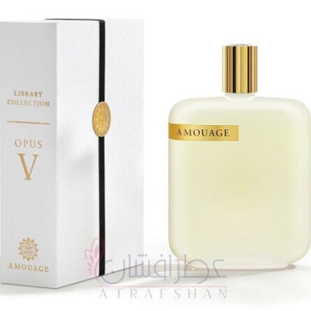 V 5 AMOUAGE The