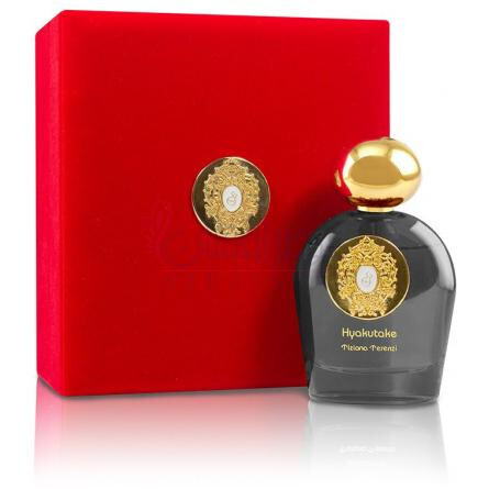 Hyakutake-تیزیانا ترنزی هیکوتاکه