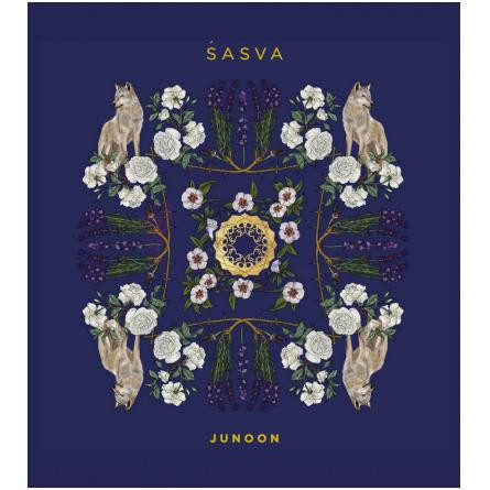 Junoon-ساسوا جنون