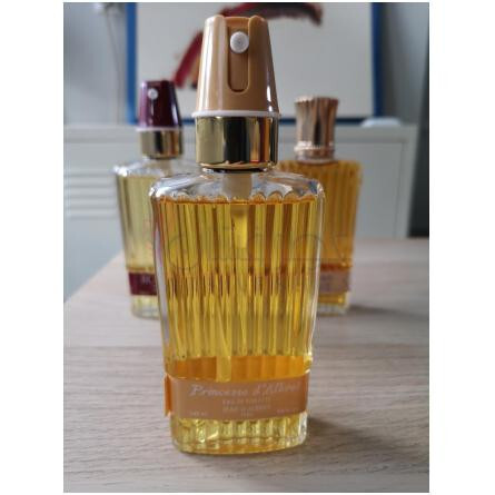 Princesse d'Albret-ژان دوآبرت پرینسس د البرت