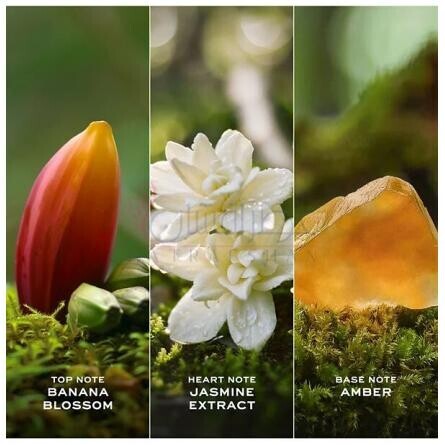 Daisy Wild Eau So Intense-مارک جاکوبز دیزی وایلد او سو اینتنس