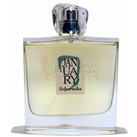 Selperniku-جَنیوئری سن پروجکتس سلپرنیکو