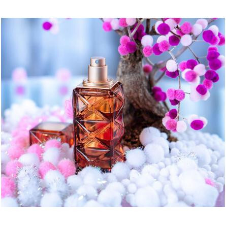 Mémoires d'une Palmeraie 17-فوه مموریز دون پالمرای 17