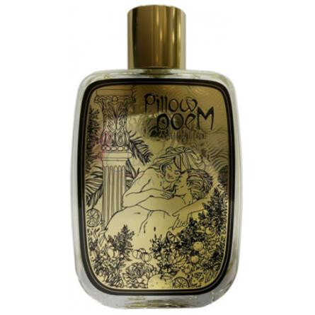 Pillowpoem-پیر گیوم پاریس پیلو پویم