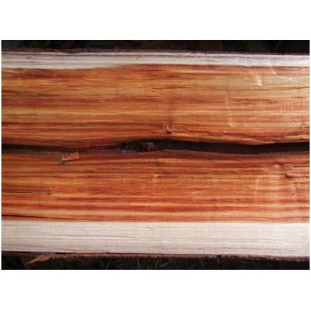 If-بود پارفومز ایف