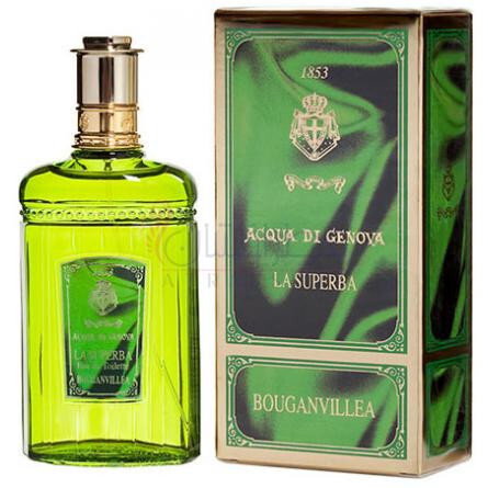 Bougainvellea-اکوا دی جنووا بوگین ولیا