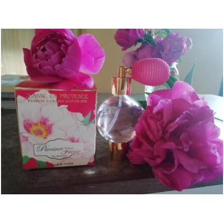 Pivoine Feerie-ژان ان پروونس پیووین فیری