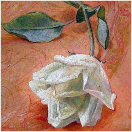 Wild Summer Crush-آپریل آروماتیکس وایلد سامر کراش