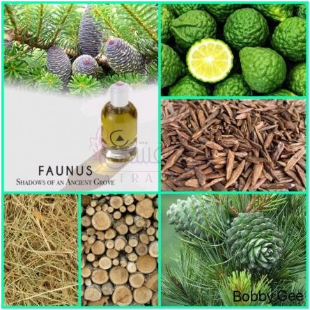 Faunus-لا کویری فاوناس