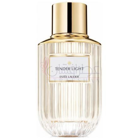 Tender Light-استی لودر تندر لایت