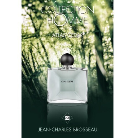 Atlas Cedar Jean-جان چارلز بروسو اطلس سدر جین