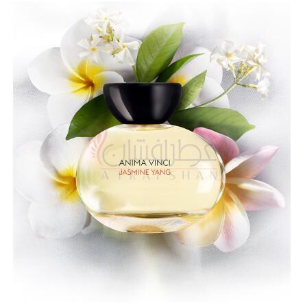 Jasmine Yang-انیما وینچی جاسمین ینگ