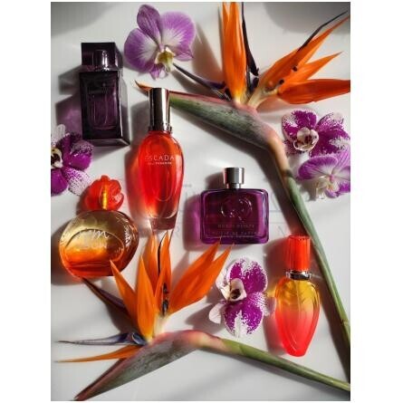 Bali Paradise-اسکادا بالی پارادایس