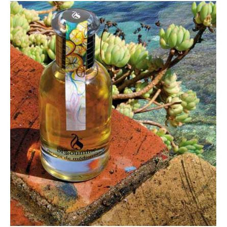 Rivages de Mediterranee-بیسومین ریویجس دی مدیترانه