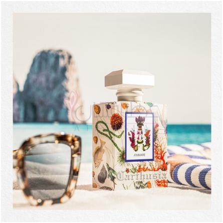 A'mmare-کارتوزیا اماره