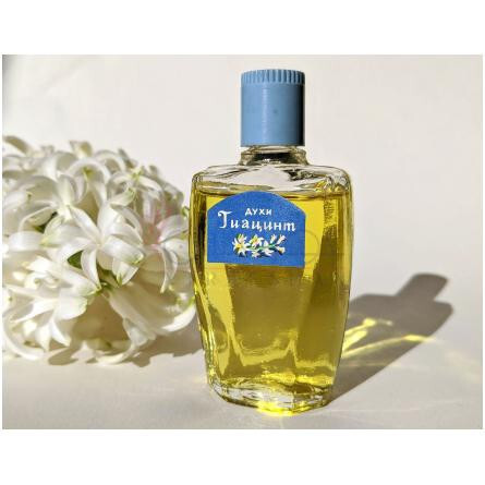 Hyacinth Гиацинт-سورنویه سیانی هایسینت 