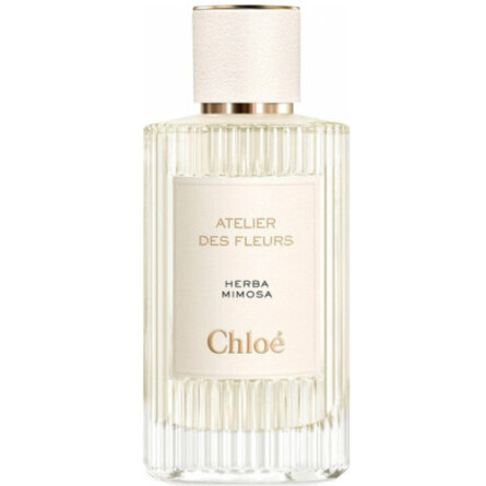 Herba Mimosa-کلوهه هربا میموسا