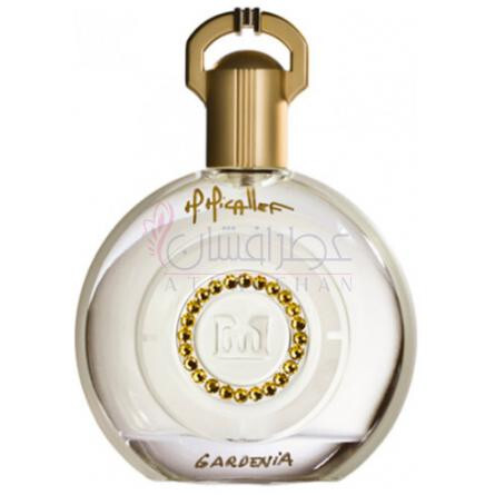 Gardenia-ام میکالف گاردنیا