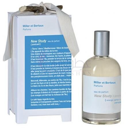 New Study (Postcard)-میلر اِ بِرتو نیو استادی پست کارد