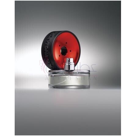 Daytona 500-الیزابت آردن دیتونا 500