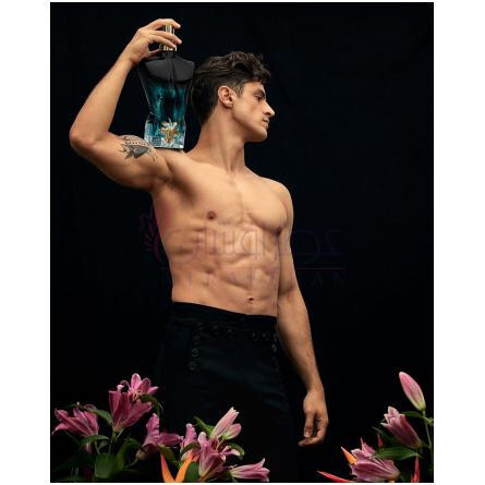 Le Beau Le Parfum-ژان پل گوتیه له بو له پرفیوم