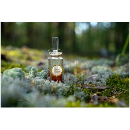 Alpona-کارون الپونا